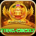 1st inning betting cricket Apps (Tools & Injectors) Pro v2.8.7
