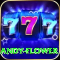andy flower Pro v4.7.8