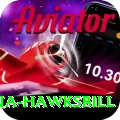 antigua hawksbill Pro v5.8.4
