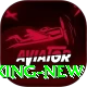 BG8881 King New
