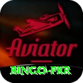 Bingo PKR Apps (Tools & Injectors) Ultimate v1.0.1