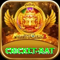 cricket bat Elite Pro v5.1.2