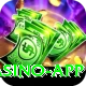 Cricket Betting Pakistan Master Casino App