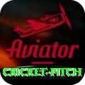 cricket pitch Pro1 v3.9.1