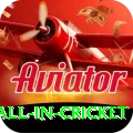 fastest ball in cricket Premium v5.5.6