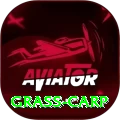 grass carp Pro v1.9.6