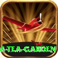 hile ilam tea garden Deluxe Pro v5.7.9