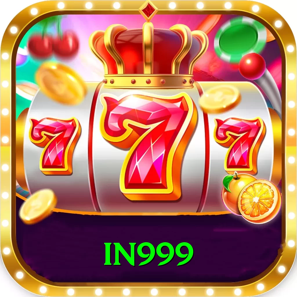 in999 Pro Edition v2.8.5 - 2