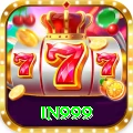 in999 Pro Edition v2.8.5