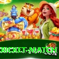 india cricket match Plus v1.1.8