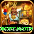 india pakistan cricket match VIP Edition v2.8.5