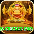 india pakistan cricket Max Slots