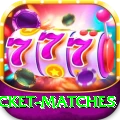 india upcoming cricket matches Plus v4.1.4