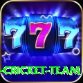 ireland cricket team Master Pro v2.9.1