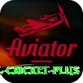 mobile cricket King Gaming App
