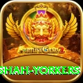 naseem shah yorkers Pro Edition v3.9.5