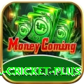 nepal cricket Live Casino Prime