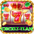 new zealand cricket team Plus v2.0.5