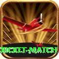 next cricket match Gold Edition v2.3.3
