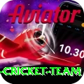 pakistan women cricket team Games (Casino & Earning) Ultimate v2.8.4