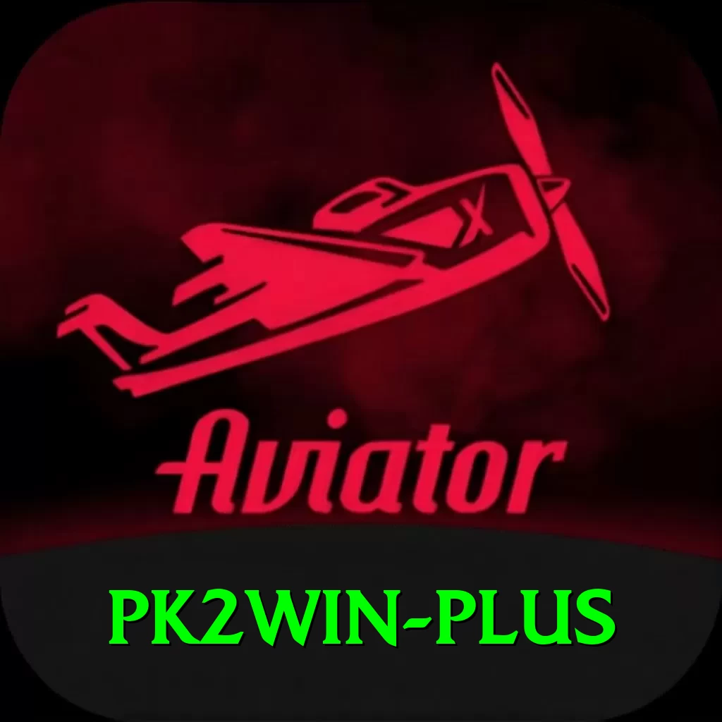 pk2win Deluxe Edition v2.2.8 - 2