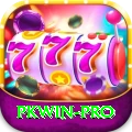 pkwin Plus Edition v5.6.4