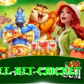 risk free bet cricket Deluxe Edition v3.7.5
