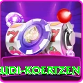 rudi koertzen Apps (Tools & Injectors) Elite v2.6.9