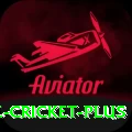 smartcric live cricket King PK v1.1.9