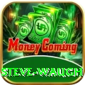 steve waugh Turbo v3.1.6
