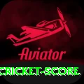 test cricket score Pro Max v1.7.3