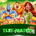 test match Plus