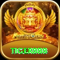 tiger888 Gold Edition v5.5.7