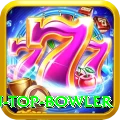 top batsman top bowler Pro Edition v1.9.6