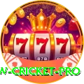 willow cricket - Max v4.1.7